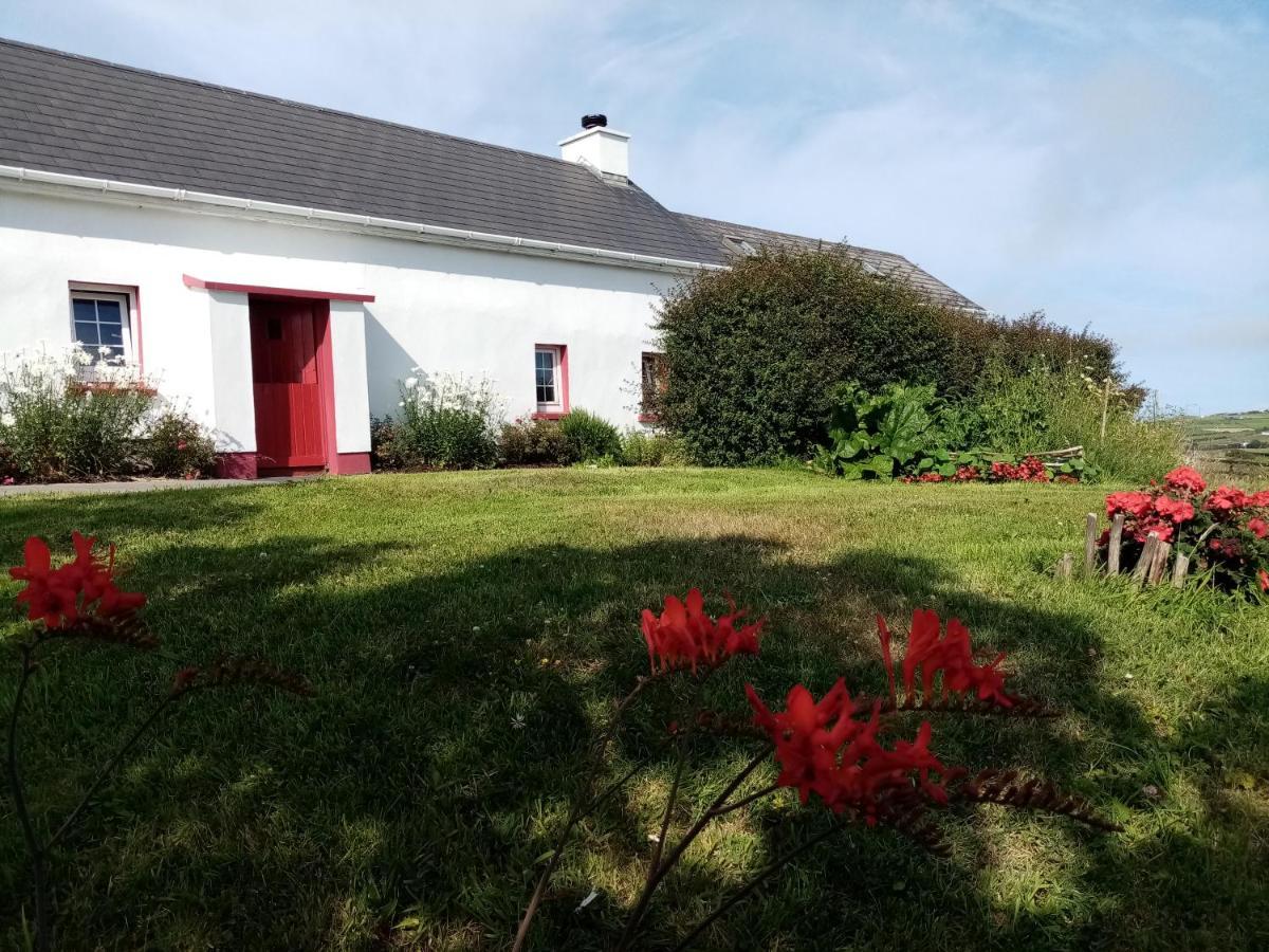 B&B The Red Door Cottage Donegal Town Dış mekan fotoğraf