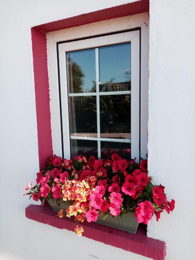 B&B The Red Door Cottage Donegal Town Dış mekan fotoğraf